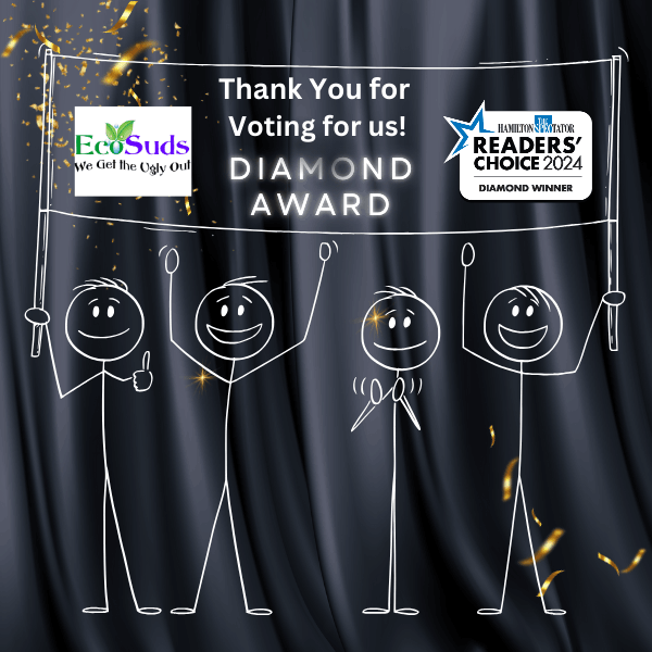 Hamilton Spectator Diamond Award Best Carpet Cleaning Company 2024