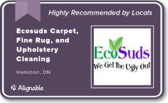Alignable Highly Recommended Commercial Carpet Cleaning Company Hamilton Ontario