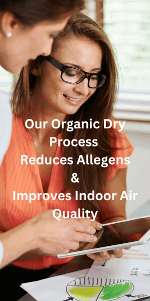 Healthier women in office Commercial Carpet Cleaning Reduces Allergens