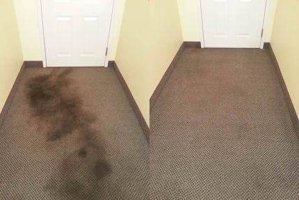 Before and After Carpet Cleaned by Ecosuds Hamilton Ontario
