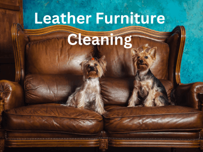 2 dogs on leather sofa that needs cleaning by Ecosuds in Hamilton