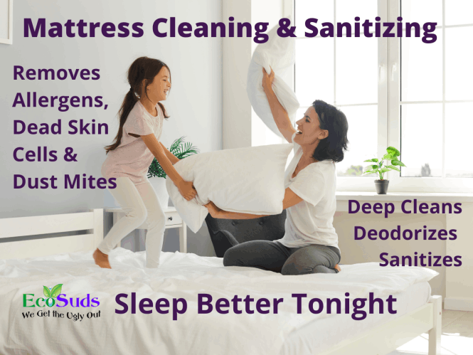 Mattress Cleaning Hamilton Burlington Grimsby Beamsville Ontario