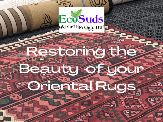Oriental Rug and Area Rug Cleaning Hamilton Burlington Grimsby Ontario